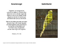 Kanarienvogel-Hey.pdf